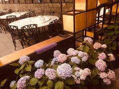-京北渔家傲