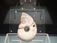-辽宁省博物馆