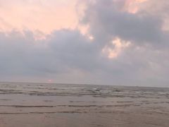 -日照海滨国家森林公园