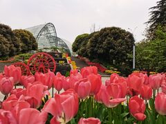 -南山植物园