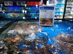水产区-盒马鲜生(馥邦国际店)