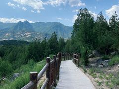 -白水寺森林公园