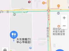 -大灰狼(中心书城店)