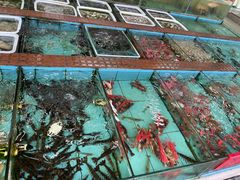 -景好海鲜餐厅(大鹏必选旅游店)