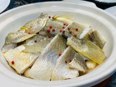 砂锅焗黄花鱼-1937青岛老味道·海肠捞饭·青岛菜(大鲍岛栈桥店)