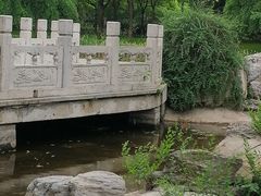 -莲花池公园