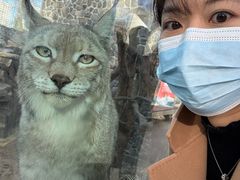 -青藏高原野生动物园