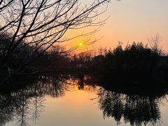 -西溪国家湿地公园