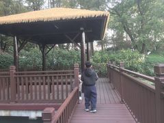 -圩墩遗址公园