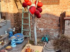 -陶野咖啡·面包披萨