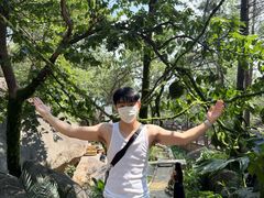 -沂蒙山旅游区云蒙景区(蒙山国家森林公园)