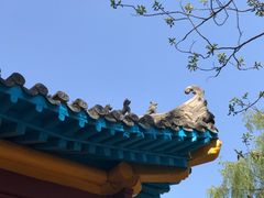 -赵州桥景区