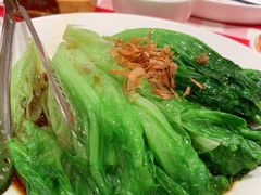 葱油罗马生菜-西贝(金桥店)