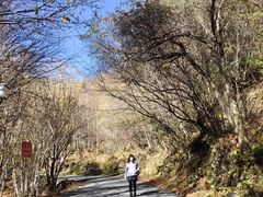 -叠溪松坪沟景区