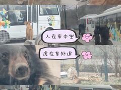 -栾川竹海野生动物园