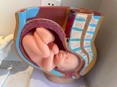 -姆爱自营月嫂(松江店)