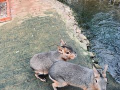 -呀路古热带植物园