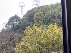 -巴倒烫陆派火锅山庄(南山总店)