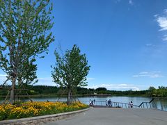-东郊湿地公园