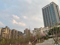 -沐仙湖湿地公园