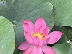 -云溪植物园