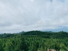 -山王坪喀斯特国家生态公园