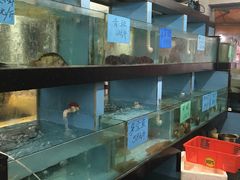 水产区-莲花公园煎蟹(总店)