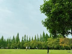 -成都南湖公园
