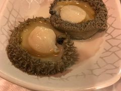 -鲜入围煮花胶鸡海鲜火锅