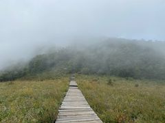 -白草畔自然风景区