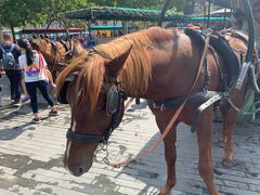 -天津津利华酒店