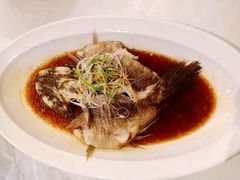 -聚鑫阁江浙菜·非遗传承技艺(青村帝华园店)
