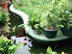 -园林美食城·本土农家菜(杨和镇店)