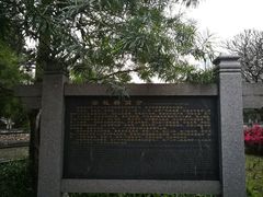 -晓港公园