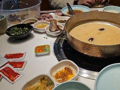 -洪氏嗨捞·猪肚鸡火锅(阳光天地店)