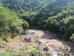 -广州白江湖森林公园