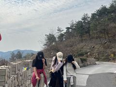 -木兰云雾山
