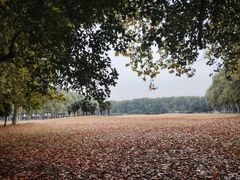 -河南省黄河迎宾馆