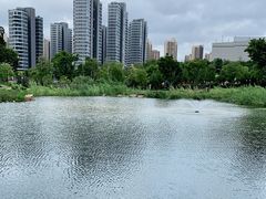 -牛岗山公园