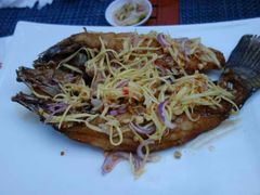 android_upload_pic-椰树岛海滩度假村