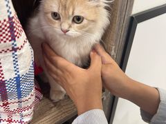 -萌兽医馆·绝育·24小时内科·宠物医院(德胜店)