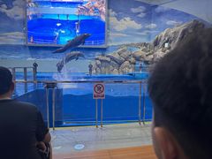 -福州罗源湾海洋世界旅游区