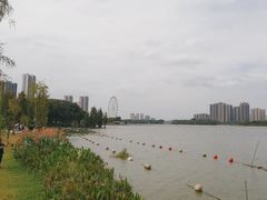 -飞来湖湿地公园