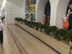 -舞蕾舞蹈(特长生校区)