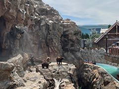 -珠海长隆海洋王国
