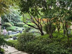 -苏州湾·王焰温泉