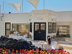 -Blue Concept Cafe&Farm·關於藍