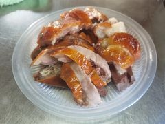 -邮电新村嘉积鸭美味园