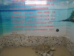 -上海大自然野生昆虫馆
