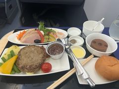 -全日本空输株式会社(上海办事处)